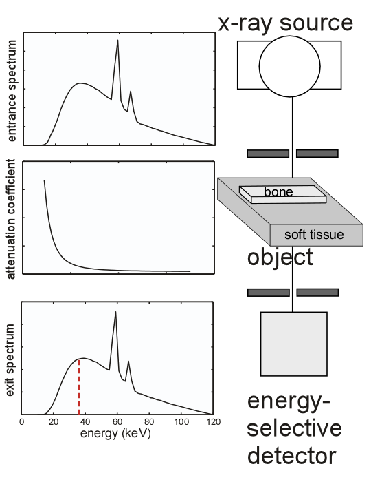 figure BlockDiagram.png